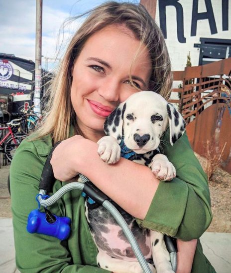 Illustration de l'article : Un chiot dalmatien fait le buzz sur internet grâce à la particularité de sa truffe !